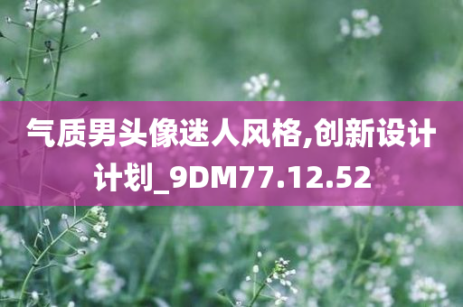 气质男头像迷人风格,创新设计计划_9DM77.12.52