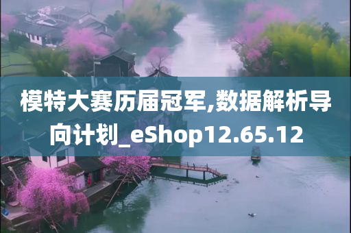 模特大赛历届冠军,数据解析导向计划_eShop12.65.12