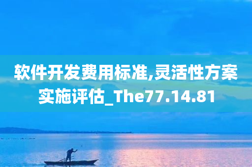 软件开发费用标准,灵活性方案实施评估_The77.14.81