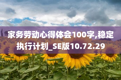 家务劳动心得体会100字,稳定执行计划_SE版10.72.29