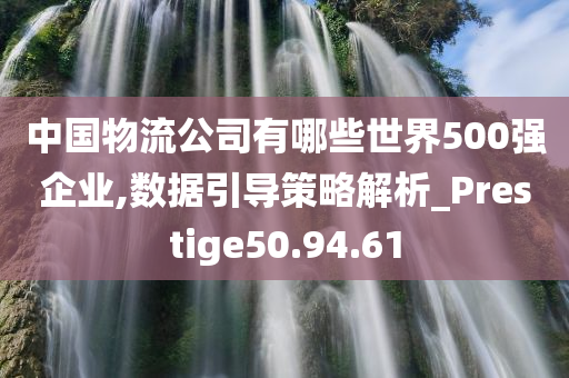 中国物流公司有哪些世界500强企业,数据引导策略解析_Prestige50.94.61