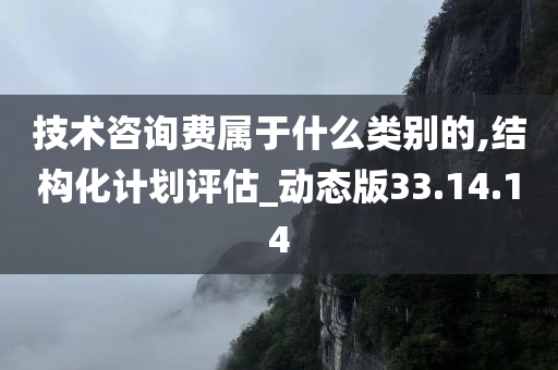 技术咨询费属于什么类别的,结构化计划评估_动态版33.14.14