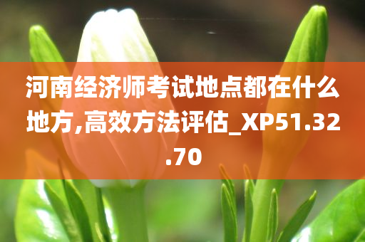 河南经济师考试地点都在什么地方,高效方法评估_XP51.32.70