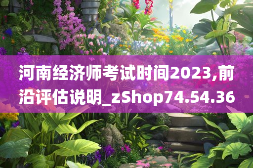 河南经济师考试时间2023,前沿评估说明_zShop74.54.36