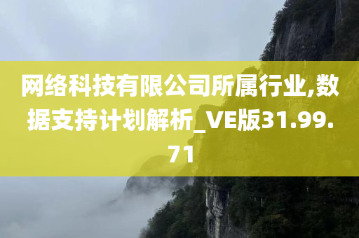 网络科技有限公司所属行业,数据支持计划解析_VE版31.99.71