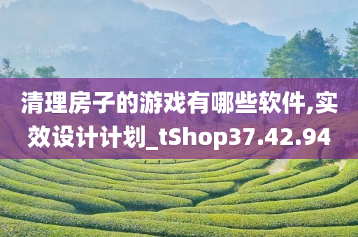 清理房子的游戏有哪些软件,实效设计计划_tShop37.42.94