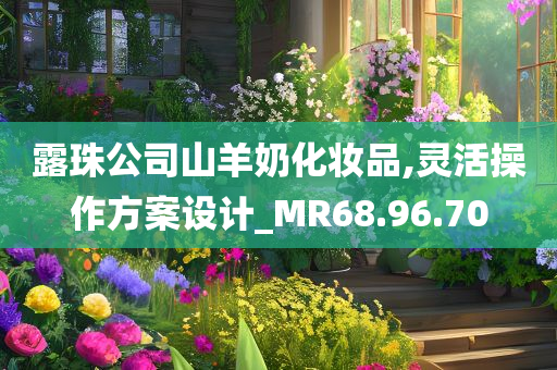 露珠公司山羊奶化妆品,灵活操作方案设计_MR68.96.70