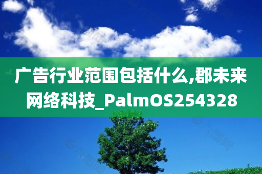 广告行业范围包括什么,郡未来网络科技_PalmOS254328