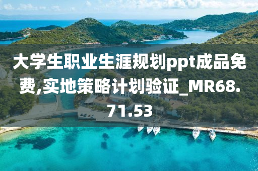 大学生职业生涯规划ppt成品免费,实地策略计划验证_MR68.71.53