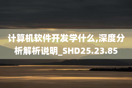 计算机软件开发学什么,深度分析解析说明_SHD25.23.85