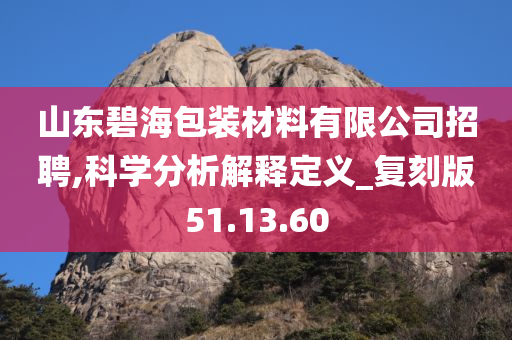 山东碧海包装材料有限公司招聘,科学分析解释定义_复刻版51.13.60