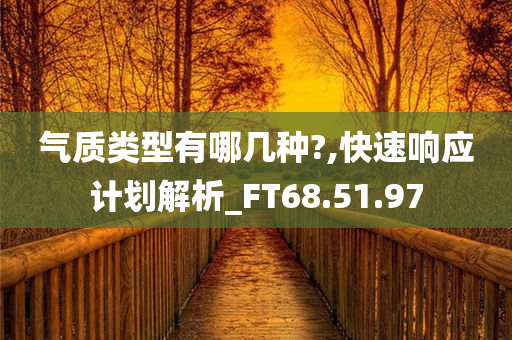 气质类型有哪几种?,快速响应计划解析_FT68.51.97