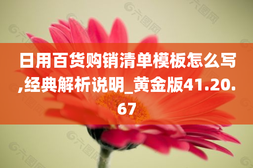 日用百货购销清单模板怎么写,经典解析说明_黄金版41.20.67