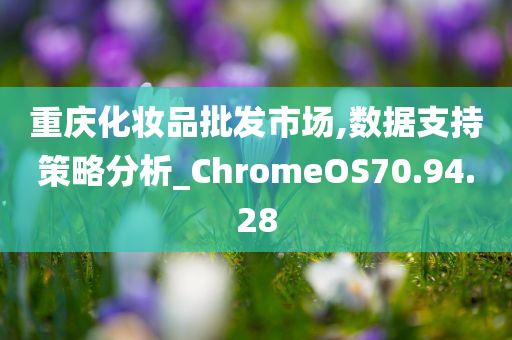 重庆化妆品批发市场,数据支持策略分析_ChromeOS70.94.28