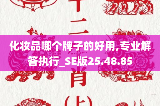 化妆品哪个牌子的好用,专业解答执行_SE版25.48.85