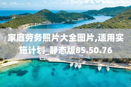 家庭劳务照片大全图片,适用实施计划_静态版85.50.76