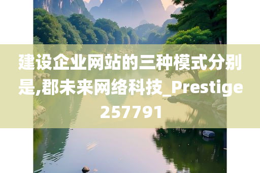 建设企业网站的三种模式分别是,郡未来网络科技_Prestige257791