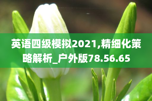 英语四级模拟2021,精细化策略解析_户外版78.56.65