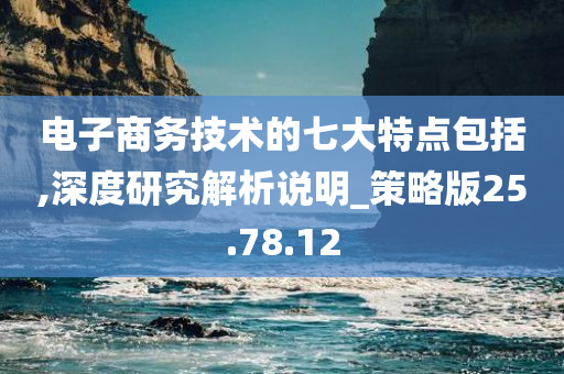 电子商务技术的七大特点包括,深度研究解析说明_策略版25.78.12