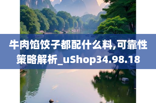 牛肉馅饺子都配什么料,可靠性策略解析_uShop34.98.18