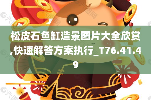 松皮石鱼缸造景图片大全欣赏,快速解答方案执行_T76.41.49