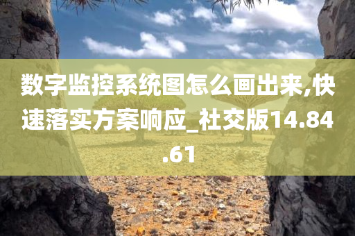 数字监控系统图怎么画出来,快速落实方案响应_社交版14.84.61