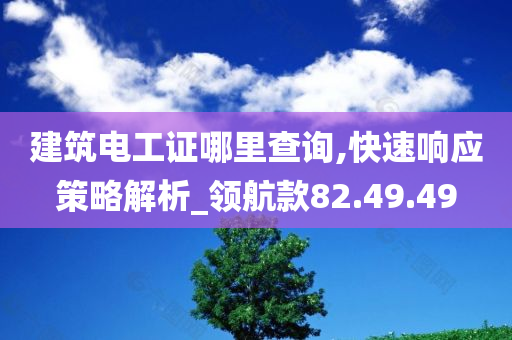 建筑电工证哪里查询,快速响应策略解析_领航款82.49.49