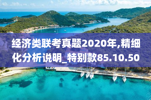 经济类联考真题2020年,精细化分析说明_特别款85.10.50