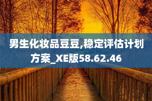 男生化妆品豆豆,稳定评估计划方案_XE版58.62.46