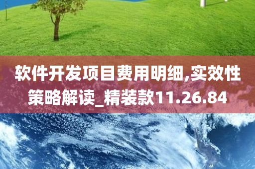 软件开发项目费用明细,实效性策略解读_精装款11.26.84