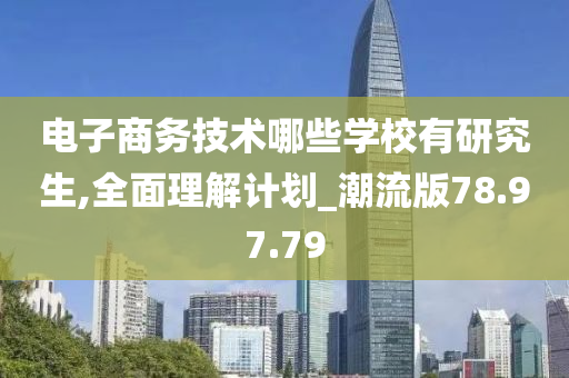 电子商务技术哪些学校有研究生,全面理解计划_潮流版78.97.79