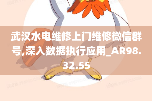 武汉水电维修上门维修微信群号,深入数据执行应用_AR98.32.55