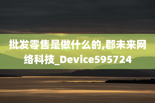 批发零售是做什么的,郡未来网络科技_Device595724