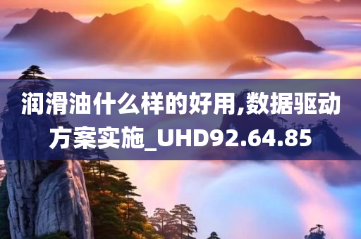 润滑油什么样的好用,数据驱动方案实施_UHD92.64.85