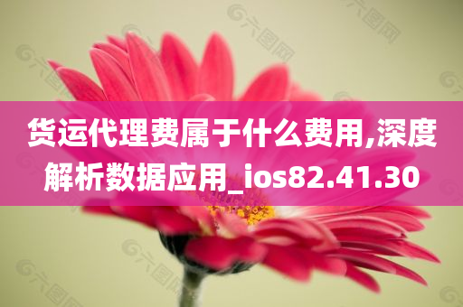 货运代理费属于什么费用,深度解析数据应用_ios82.41.30