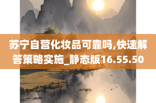 苏宁自营化妆品可靠吗,快速解答策略实施_静态版16.55.50