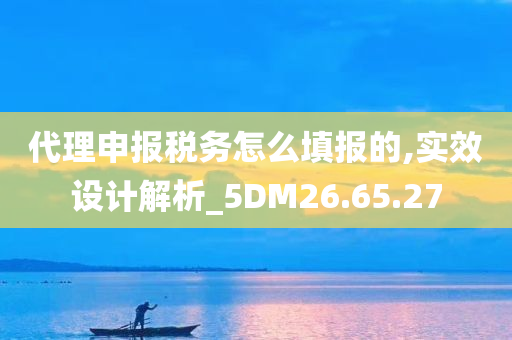 代理申报税务怎么填报的,实效设计解析_5DM26.65.27