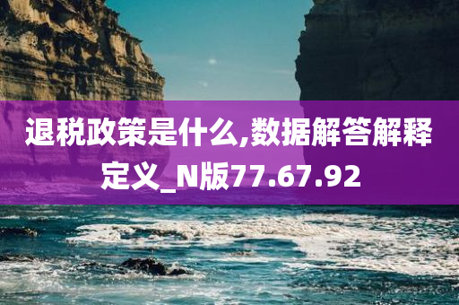 退税政策是什么,数据解答解释定义_N版77.67.92