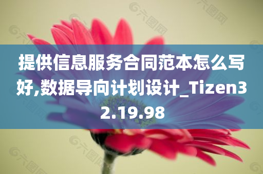 提供信息服务合同范本怎么写好,数据导向计划设计_Tizen32.19.98