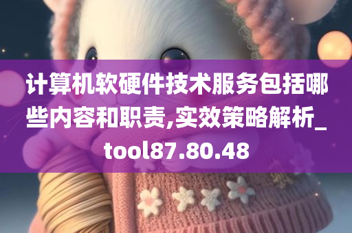 计算机软硬件技术服务包括哪些内容和职责,实效策略解析_tool87.80.48