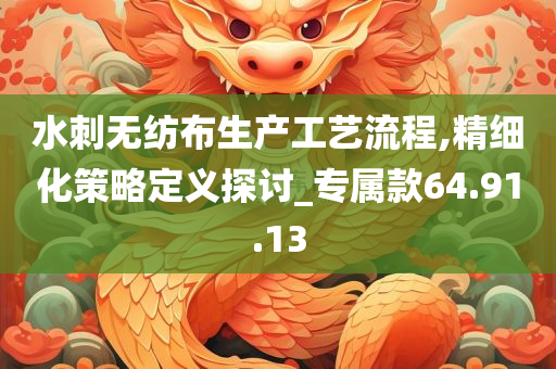 水刺无纺布生产工艺流程,精细化策略定义探讨_专属款64.91.13