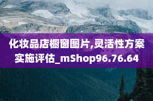 化妆品店橱窗图片,灵活性方案实施评估_mShop96.76.64