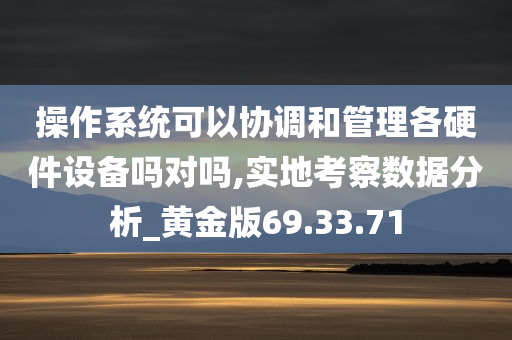 操作系统可以协调和管理各硬件设备吗对吗,实地考察数据分析_黄金版69.33.71