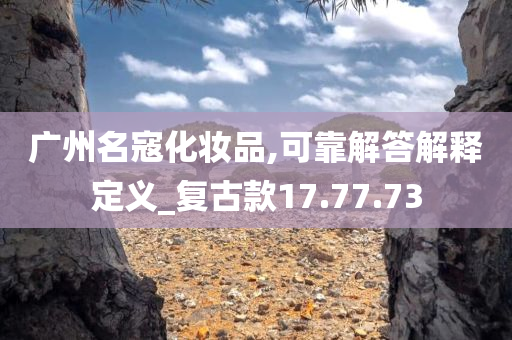 广州名寇化妆品,可靠解答解释定义_复古款17.77.73