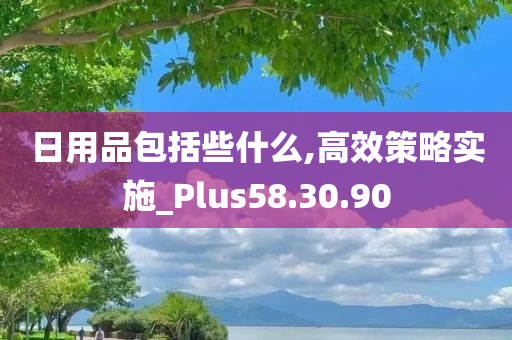 日用品包括些什么,高效策略实施_Plus58.30.90