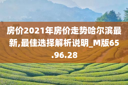 房价2021年房价走势哈尔滨最新,最佳选择解析说明_M版65.96.28