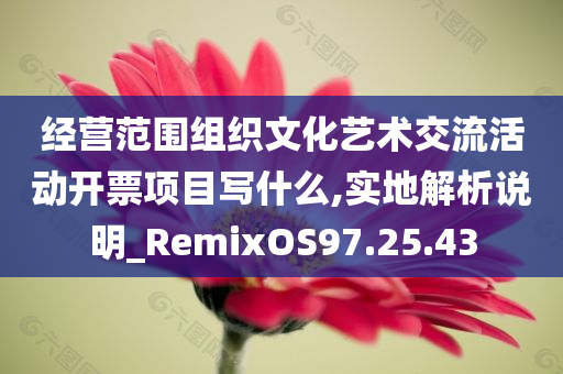 经营范围组织文化艺术交流活动开票项目写什么,实地解析说明_RemixOS97.25.43