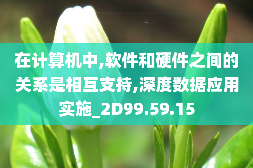 在计算机中,软件和硬件之间的关系是相互支持,深度数据应用实施_2D99.59.15