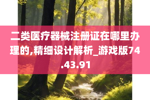 二类医疗器械注册证在哪里办理的,精细设计解析_游戏版74.43.91