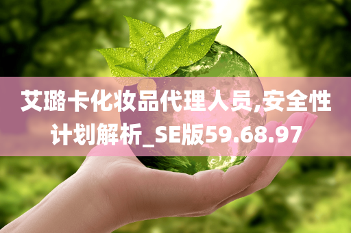 艾璐卡化妆品代理人员,安全性计划解析_SE版59.68.97